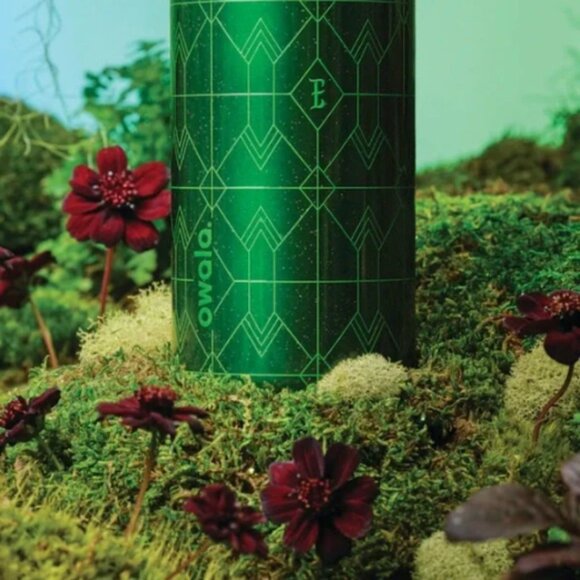 NWT Owala X Wicked For Good ELPHABA 32oz Freesip - Picture 10 of 10